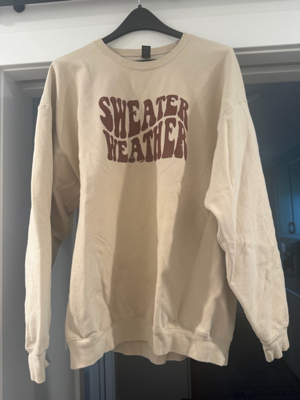 Gildan Softstyle Sweater Weather Crewneck Sweatshirt XL
